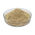 Brewers Yeast For Feed Additive feed grade Cinnamon powder Supplier